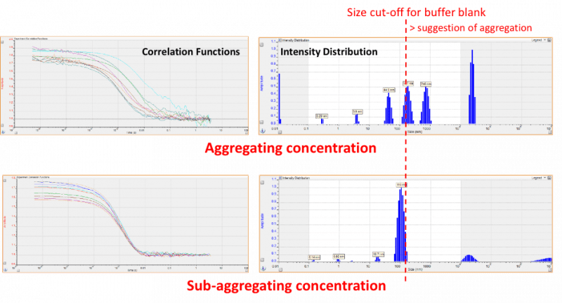 dynamic light scattering protein aggregation