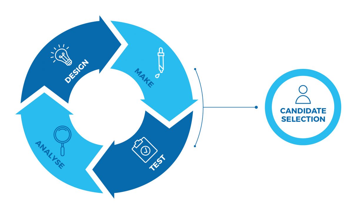 Design, Make, Test Infographic for Sygnature Discovery