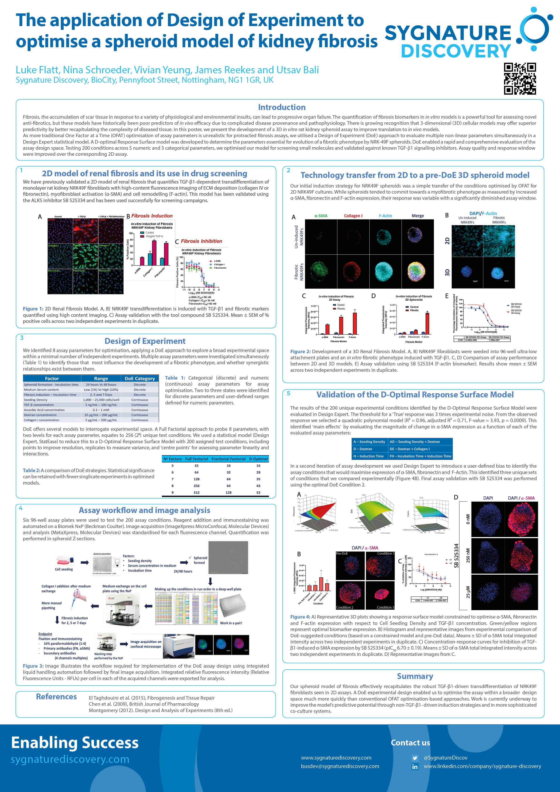 Optimising Kidney Fibrosis Spheroid Model, Design of Experiment