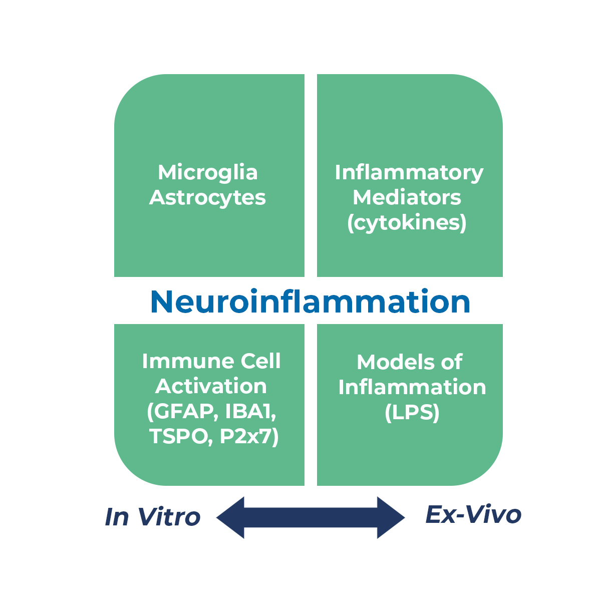 Unravelling Neuroinflammation: Brain's Immune Response